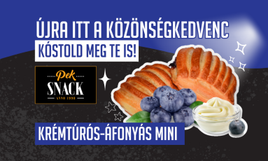 ÚJRA ITT A KRÉMTÚRÓS-ÁFONYÁS MINI